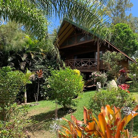 Le Nirvana - Oasis De Tendea - Farino Extérieur photo