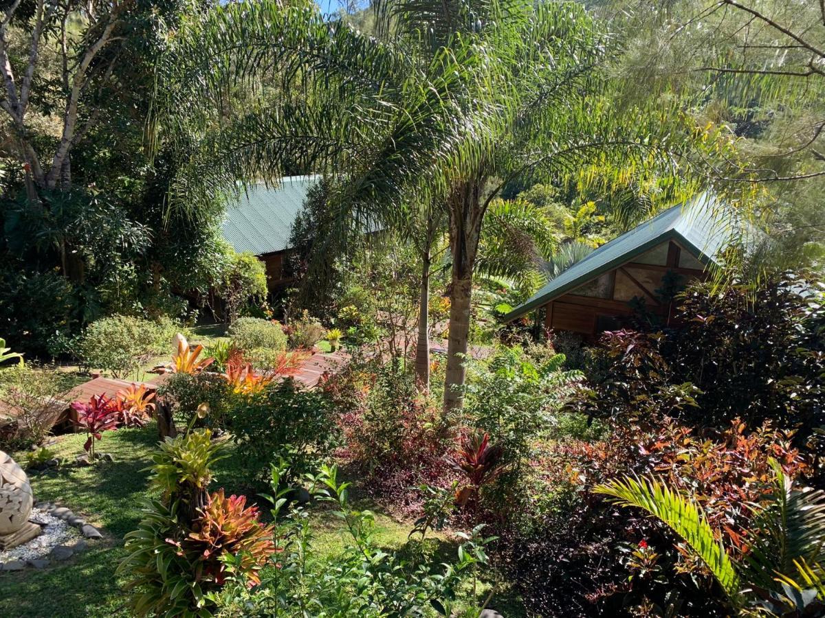 Le Nirvana - Oasis De Tendea - Farino Extérieur photo