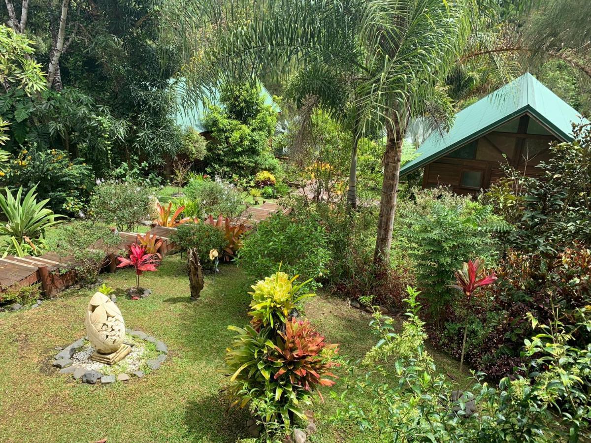 Le Nirvana - Oasis De Tendea - Farino Extérieur photo