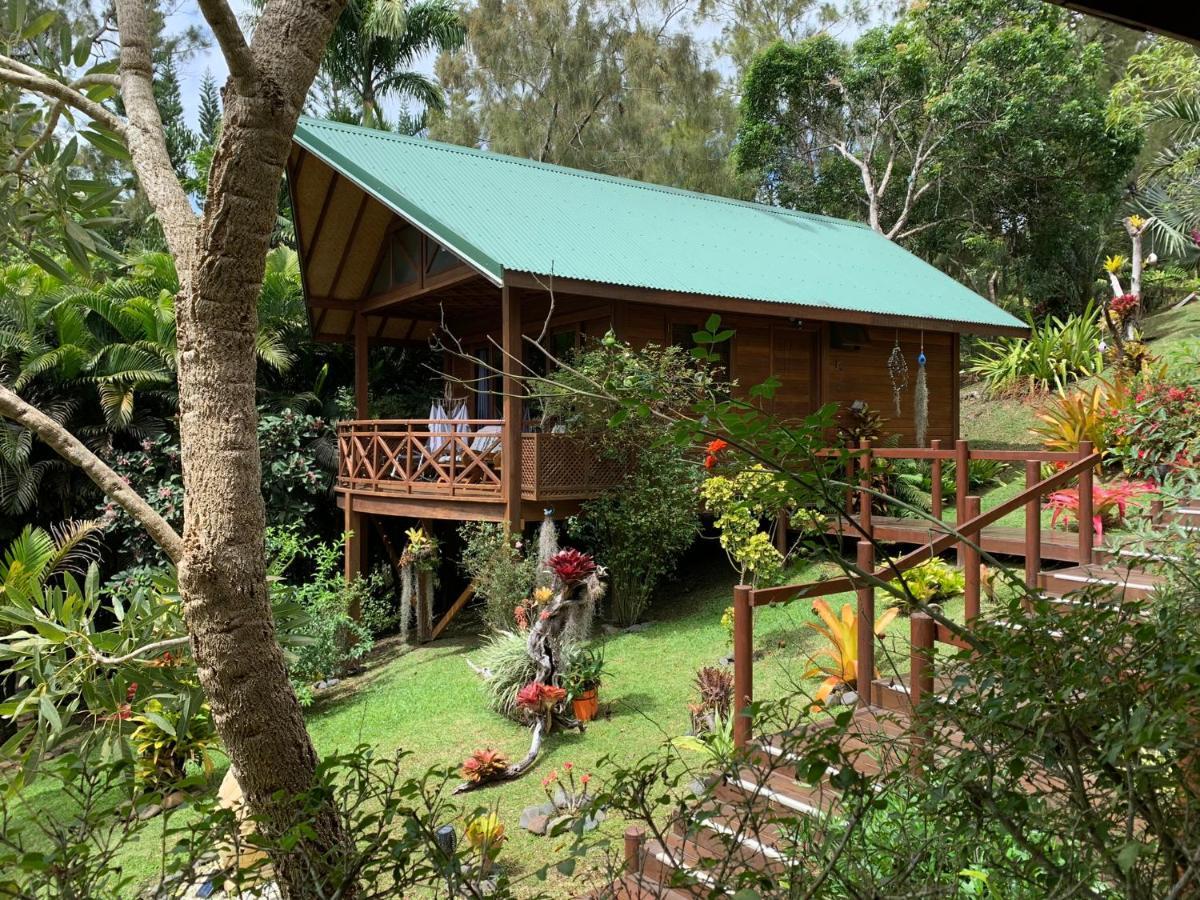 Le Nirvana - Oasis De Tendea - Farino Extérieur photo